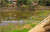 Mangaluru : Gujjarakere -  Sewage still flows in,  restoration useless